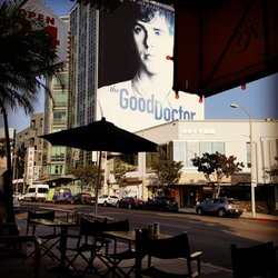 Eva's Mobile Notary and Apostille Services - Taking a break between clients