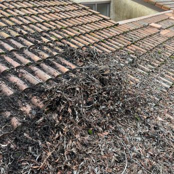 Milan Roofing - Clean up debris from roof - Roofing Near Me Milan Roofing - Clean up debris from roof - Roofing Near Me