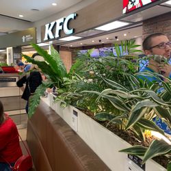 KFC - Restaurace KFC