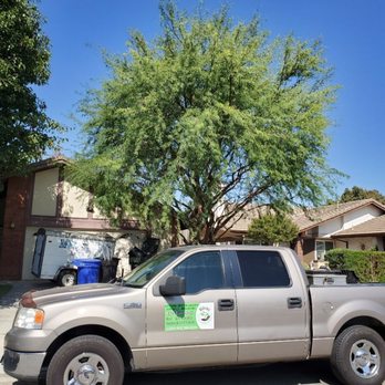 Rivas Tree Service - Tree service job - Landscaping Near Me