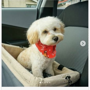 PetSmart - Pet Stores Near Me - Surprise, Arizona
