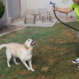 Playing on the hose again! Playing on the hose again!