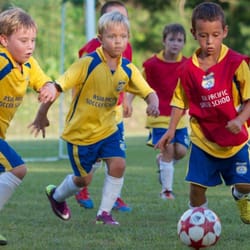 Premier Soccer Academy - PSA White Lions
