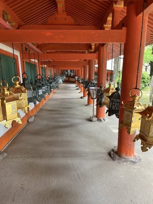 Kasugataisha Shrine by null