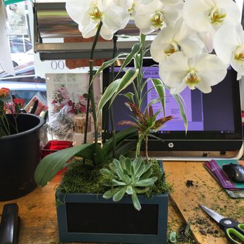 Flowers by Lili - Orchid, Succulent,  Foliage Surprise, All Rights Reserved  Flowers by Lili Corporation - Florists Near Me - Edgewater, New Jersey