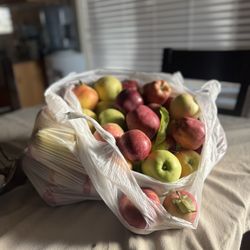 Tyler's Rocky Point Orchard - Variety Bag of Apples we brought home.