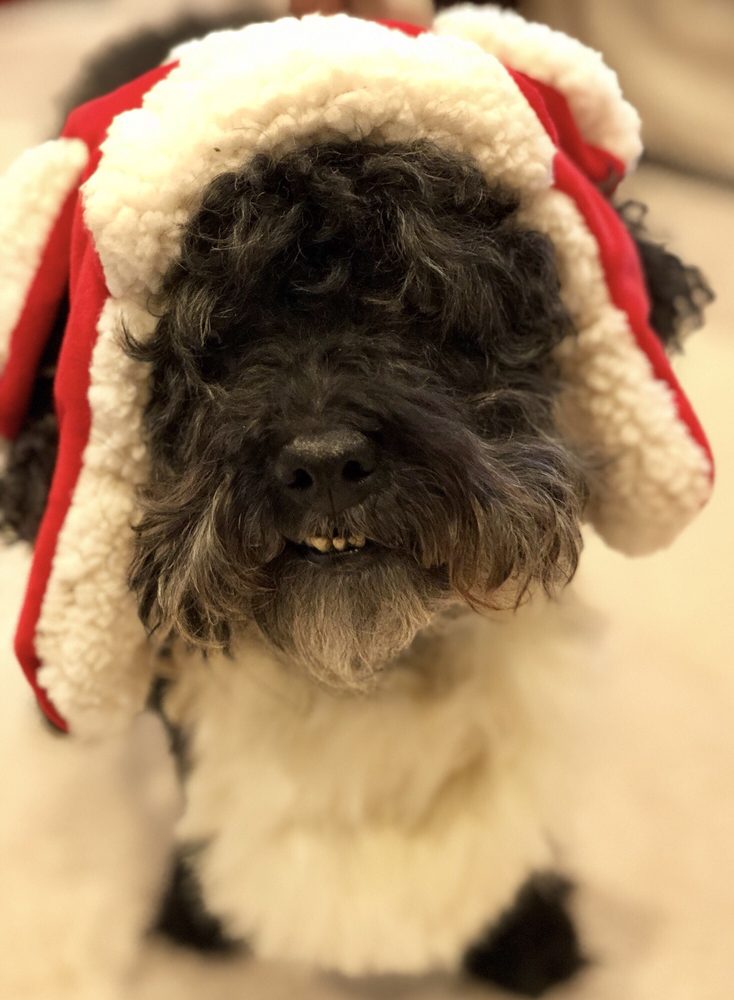 Esquires Coffee Houses Logo