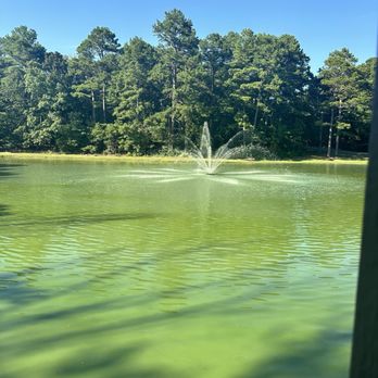 Cypress Social - Seafood Near Me - North Little Rock, Arkansas