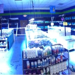 Something Fishy Pets - Fish room