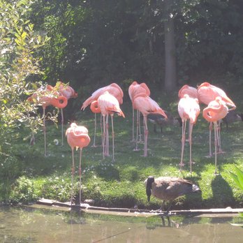 Toronto Zoo - Zoos Near Me - Toronto, Ontario Toronto Zoo - Zoos Near Me - Toronto, Ontario