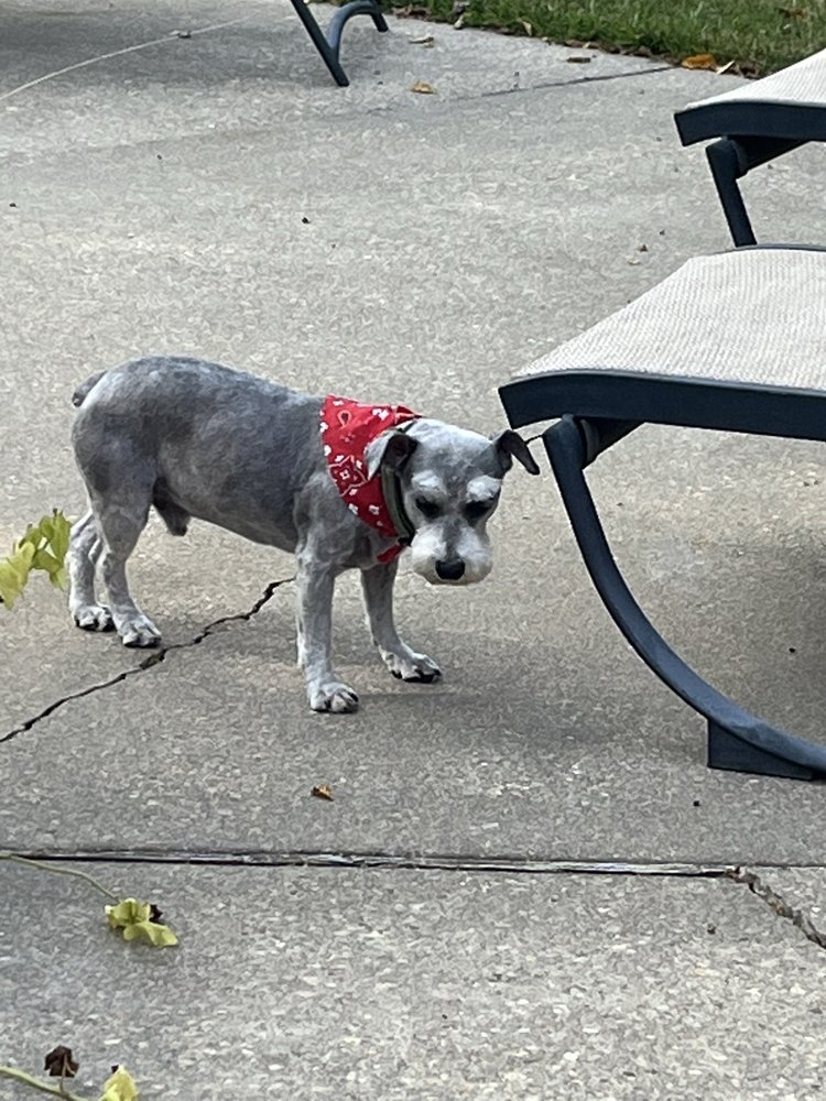 IN THE DOGHOUSE Updated September 2024 5441 Jones Crk Rd, Baton