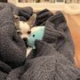 Photo of K9 Resorts Luxury Pet Hotel Emerson