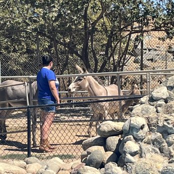 Montebello Barnyard Zoo - Petting Zoos Near Me - Montebello, California Montebello Barnyard Zoo - Petting Zoos Near Me - Montebello, California