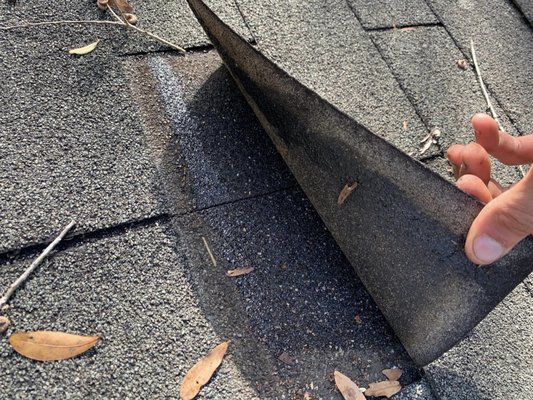 Florida Roofing Specialists