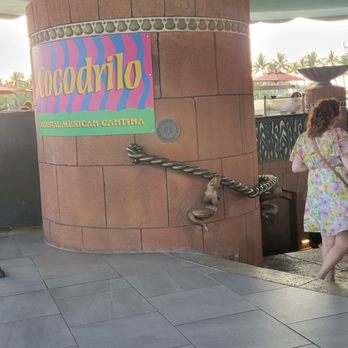Cocodrilo - Restroom was closed - Mexican Near Me - Atlantis, Florida