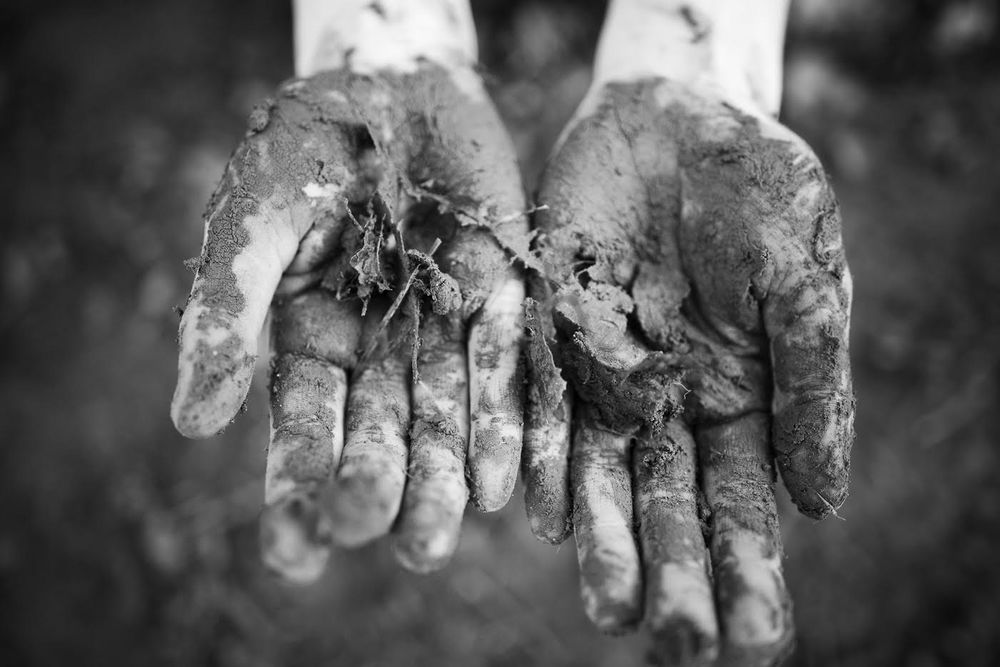 The Marylhurst School - childcare center in Oregon City, OR