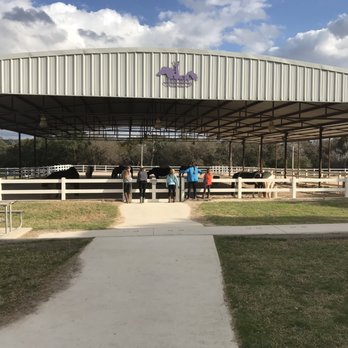 Unbridled Spirit - watching the herd's interaction. Cleanest facility I have ever seen. - Horseback Riding Near Me - Bulverde, Texas