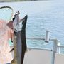 Photo of Seagull Charters