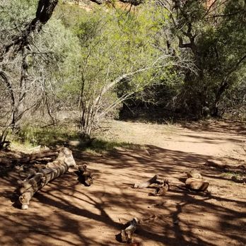 Boynton Canyon Trail - Mark to turn right to last rocky part of the trail to subway cave - Hiking Near Me - Sedona, Arizona