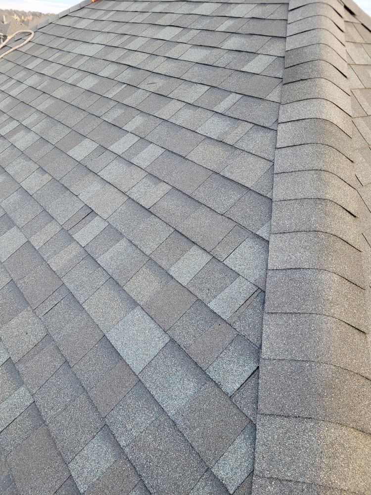 Slide of LTZ Roofing Pros