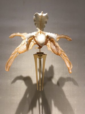 Calouste Gulbenkian Foundation by null