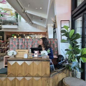 Paradiso - Bars Near Me - Dallas, Texas