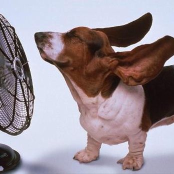 West Coast Air - Heating & Air Conditioning/HVAC Near Me - Shingle Springs, California West Coast Air - Heating & Air Conditioning/HVAC Near Me - Shingle Springs, California