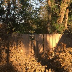 Eager Beaver Professional Tree Care - Broken fence