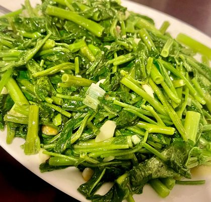 Chow's by null