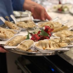 The Whisk Catering - Dumplings
