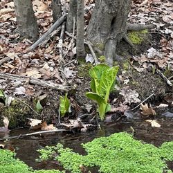 Magruder Branch Trails