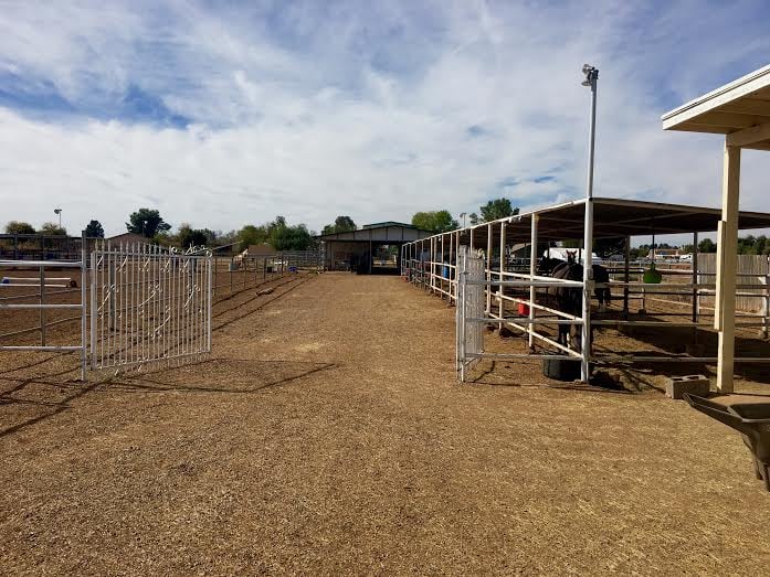 Par Excellence Farms - equestrian in Gilbert, AZ