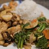 Shogun Japanese Grill & Sushi Bar gift card