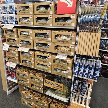 Mind Games - Perfect petzz - Tabletop Games Near Me - Sherman Oaks, California Mind Games - Perfect petzz - Tabletop Games Near Me - Sherman Oaks, California