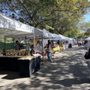 Photo of Miami Lakes Farmers Market