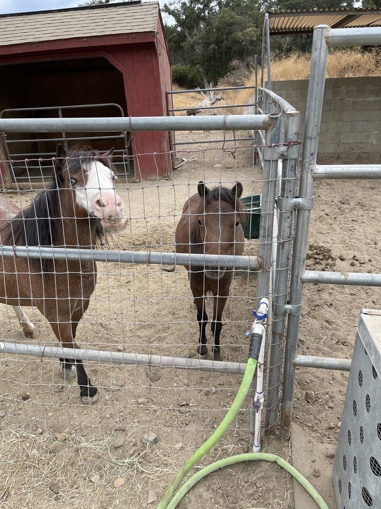 OAK CANYON EQUESTRIAN CENTER 33 Photos & 10 Reviews 23485 Wildwood