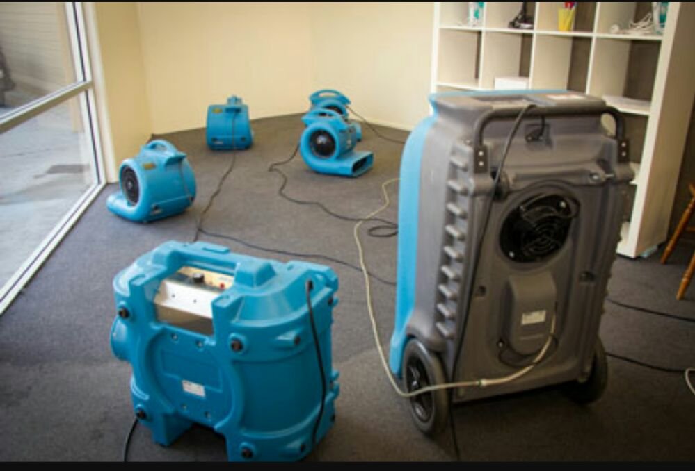 All City Environmental & Restoration - mold inspector in Denver, CO