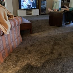 Our newly installed carpet looks fantastic.