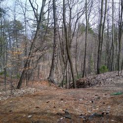 Cardinal Farm Park - Wooded area