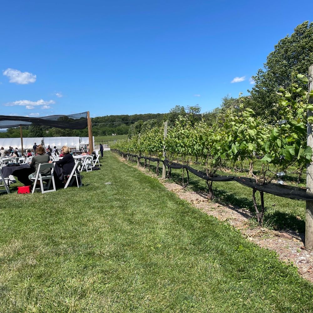 Beneduce Vineyards - Vineyard - Wineries Near Me - Pittstown, New Jersey Beneduce Vineyards - Vineyard - Wineries Near Me - Pittstown, New Jersey