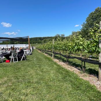 Beneduce Vineyards - Vineyard - Wineries Near Me - Pittstown, New Jersey Beneduce Vineyards - Vineyard - Wineries Near Me - Pittstown, New Jersey