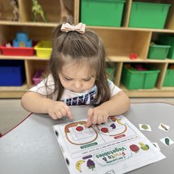 Sierra Preschool & After School - Healthy Habits Sorting Activity