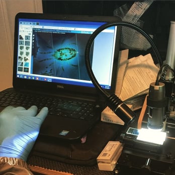 Entomobiotics, Inc - Jerry viewing microscopic rat mites at my place with his cool suitcase microscope - Pest Control Near Me Entomobiotics, Inc - Jerry viewing microscopic rat mites at my place with his cool suitcase microscope - Pest Control Near Me