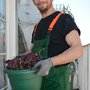 Photo of Gerry Arnold Handyman