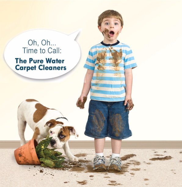 PURE WATER CARPET CLEANING BY THE GOOD WATER GUY Carpet Cleaning