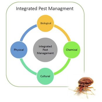 Axiom Pest Management - Pest Control Near Me Axiom Pest Management - Pest Control Near Me