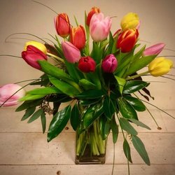 Appletree Flowers - Mixed Tulips by Appletree Flowers Plano