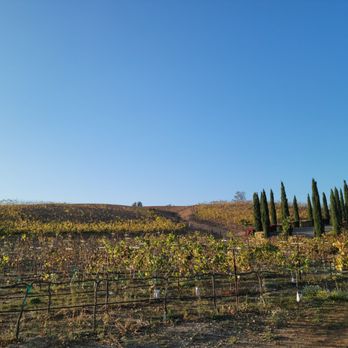 Granite Lion Cellars - Sweeping beautiful view - Wineries Near Me - Jamul, California Granite Lion Cellars - Sweeping beautiful view - Wineries Near Me - Jamul, California