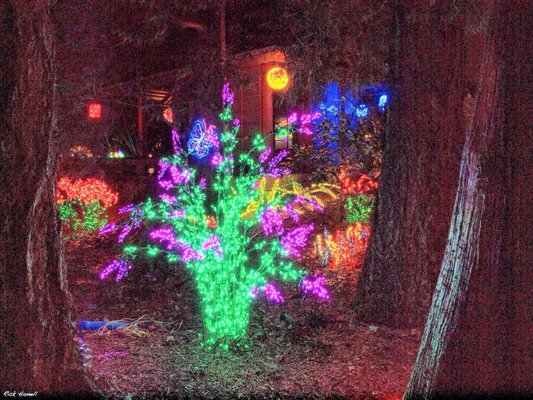 Garden d’Lights by null