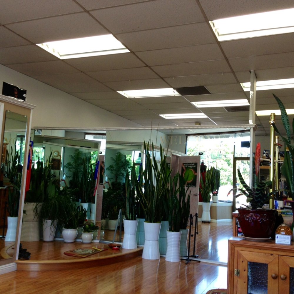 Yes, those gorgeous potted plants are real. All of them. Yes, those gorgeous potted plants are real. All of them.